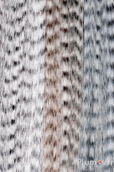 Extensions synthétiques - 40 cm, clip 3 couleurs - gris